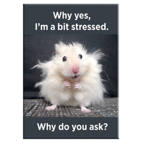 I'm a Bit Stressed Hamster Rectangle Magnet