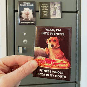 #1 Ephemera Magnet Bundle (Clean)